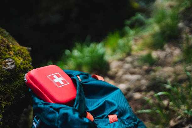 Pet first aid kit laid out next to a dog's backpack on a trail