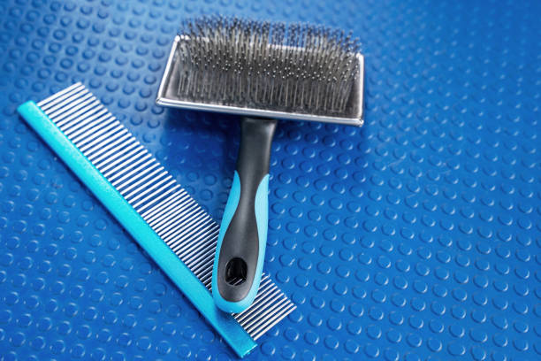 Side-by-side of slicker brush and detangling comb on grooming table