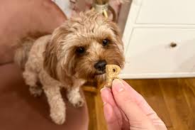 Are Freeze-Dried Dog Treats Good for Health?