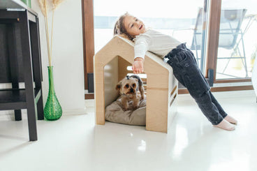 What Are the Most Stylish Indoor Houses for Dogs in 2025?
