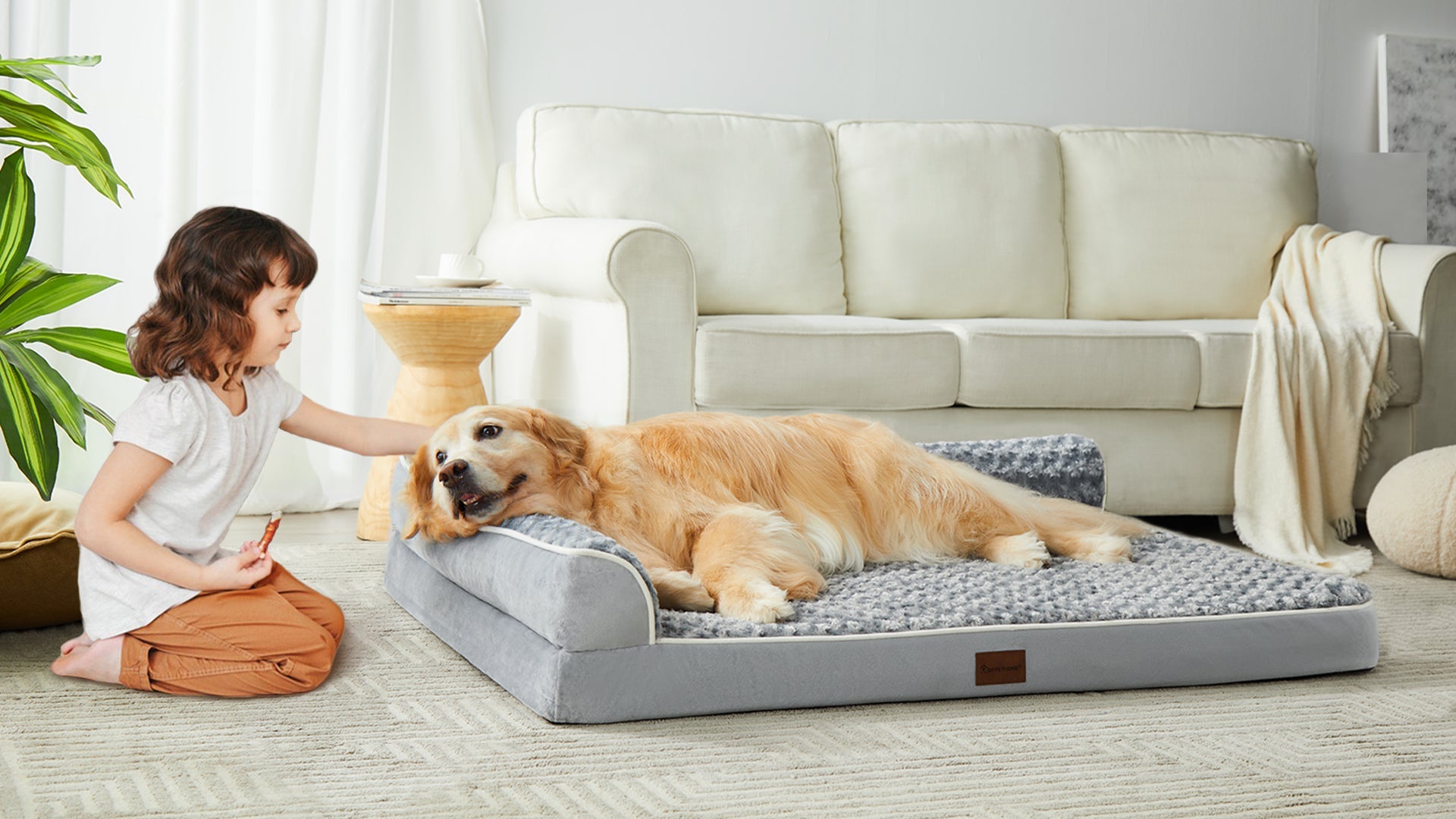 Large dog resting on a 7-inch foam orthopedic bed designed for big breeds.
