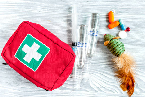 Dog first aid kit with medical supplies on a table