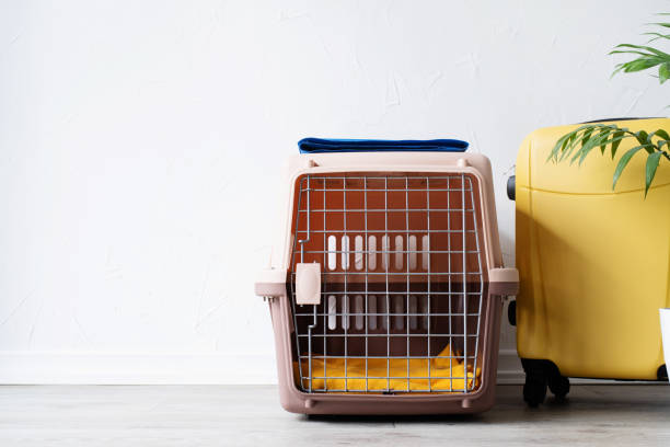 Dog travel crate next to a soft-sided pet carrier