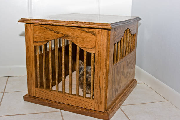 Wooden dog crate that doubles as a side table in a living room