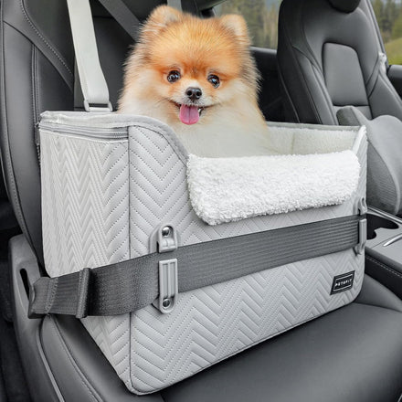 Small dog sitting in a booster seat inside a car