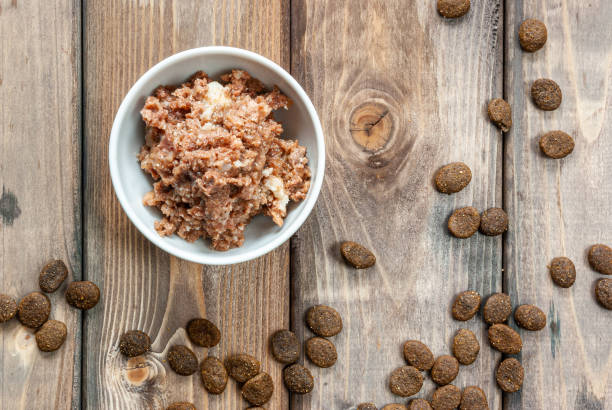 Dog food bowl beside a pile of dog treats on a table