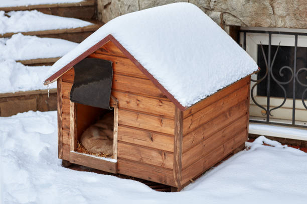 How to Protect a Dog House from Wind and Snow
