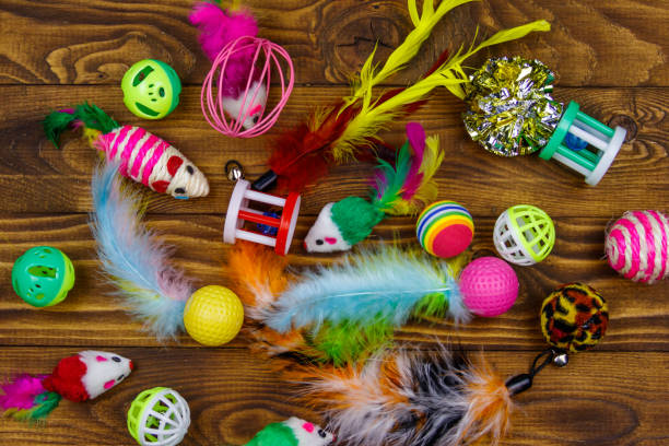 Top Affordable Dog Toys for Small Breeds