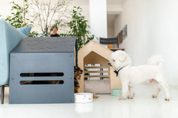 What Are the Best Indoor Dog Houses for Small Dogs?