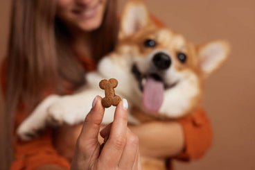How Many Treats Can I Give My Dog Per Day?