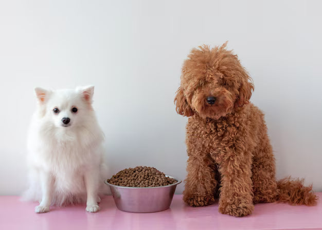How do I choose the right food for my dog’s breed?