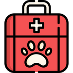 First Aid & Emergency Kits