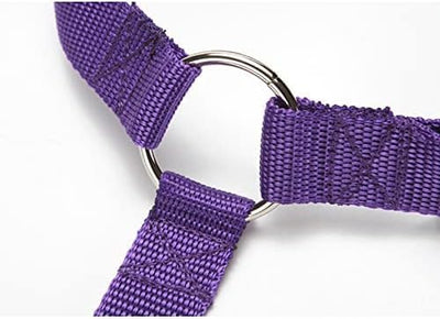 Pet Collar Pet Products Universal Practical Cat Dog Safety Adjustable Car Seat Belt Harness Leash Puppy Seat-Belt Travel Clip Strap Leads (Purple)