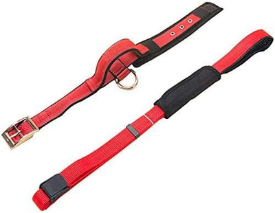 Creation Core 1 Set Adjustable Dog Seat Belt & Dog Collar with Elastic Handle Soft Padded Premium 2 in 1 Reflective Pet Leash
