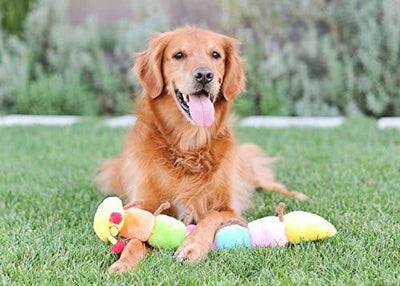ZippyPaws Large Caterpillar - Dog Toys to Keep Them Busy, for Medium and Large Dogs, Squeaky Pet Toy for Boredom, Stuffed Chew Toy, Soft Plush Puppy Products, 7 Round Squeakers - 20"