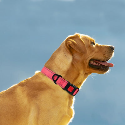 Taglory Reflective Dog Collar with Safety Locking Buckle, Adjustable Nylon Pet Collars for Large Dogs Female Male, Pink, L