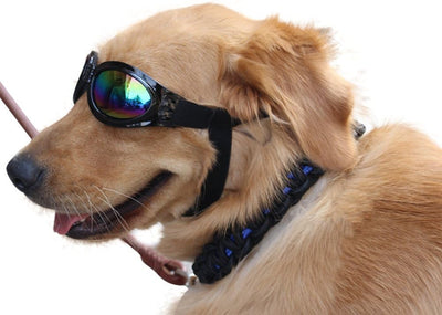 NACOCO Pet Glasses Dog Sunglasses Dog Glasses Golden Retriever Samoyed Sunglasses Goggles Big Dog Sunglasses (Black)
