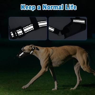 Nobleza Dog Muzzles, Breathable Adjustable Humane Mesh Dog Muzzle for Biting Barking Chewing Grooming, Padded Soft Durable Dog Mouth Guard for Medium Large Dogs, L