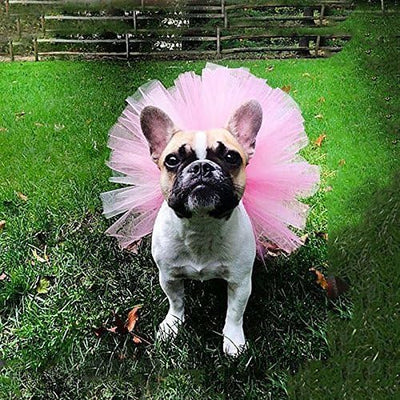 Pink Pet Puppy Small Dog Lace Skirt Princess Tutu Dress Clothes Apparel Pet Costumes Dog Dresses Pet, Apparel and Accessories, Dresses,Dog Costumes