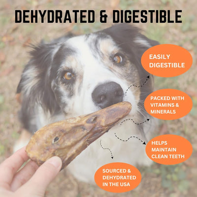 Gaines Family Farmstead Duck Heads for Dogs – 3 Count, Single Ingredient, Dehydrated Dog Chews – High in Protein, Supports Dental Health & Joint Care – Rawhide-Free Treats, Made in USA