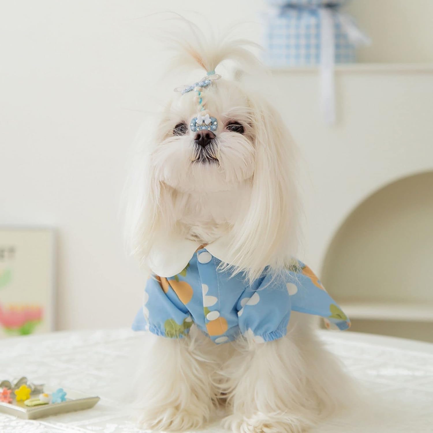 Dog Dress for Small Medium Dogs Pet Dress with Flower Egg Design Cute Puppy Skirt