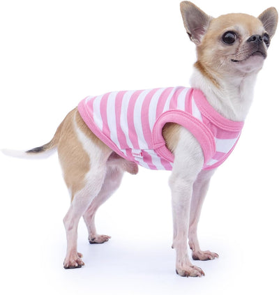 Frienperro 2 Pack Chihuahua Clothes, XXS Dog Clothes, Small Breed Clothes, Puppy Dog Clothes for Dogs Girl, Cotton Striped Sleeveless Small Teacup Yorkie Outfit Cat Vest Shirt Green Pink