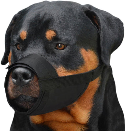 CollarDirect 2-PCs Set Dog Muzzles - Adjustable Soft Breathable Nylon Dog Mouth Guard Cover for Small, Medium and Large Dogs, Anti Chewing, Barking & Biting - Black & Red (2 Black, L/XL)