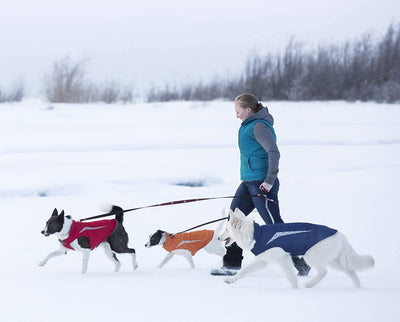 RC Pet Products Cascade Dog Coat, Essential All Weather Dog Jacket, Size 12, Arctic Blue