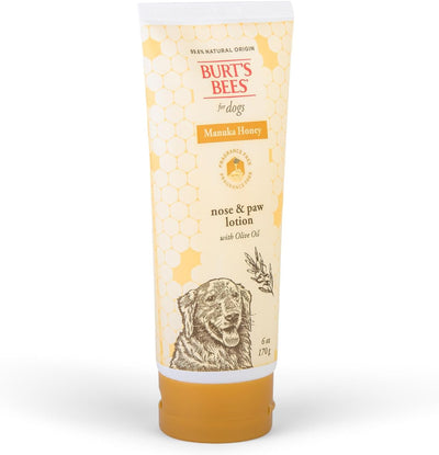 BURT'S BEES FOR PETS Paw & Nose Lotion for Dogs with Manuka Honey and Olive Oil, Soothes Dry Dog Paws -Naturally Derived Ingredients, 6 Oz