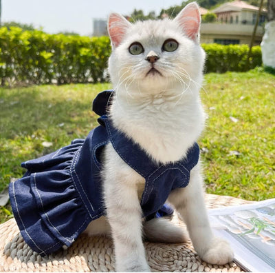 ANIAC Denim Dog Dresses for Small Dogs Puppy Girl Clothes with Leash Ring and Cute Bow Knot Summer Cat Apparel with D-Ring Blue Girl Dog Clothes (DAR Blue,Large)