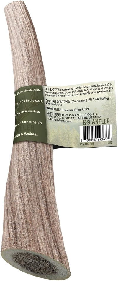Deer Antlers for Dogs – Large Whole, Durable Chew for Aggressive Chewers, Naturally Shed in The Wild, Responsibly Gathered in The USA