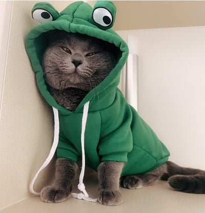 XIAOYU Pet Clothes Dog Hoodies Warm Sweatshirt Coat Puppy Autumn Winter Apparel Jumpsuit with Eye Hood, Frog, S