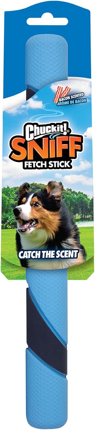 Chuckit! Interactive Dog Toy Ultra Fetch Stick - 12 Inch Outdoor Dog Toy for All Breed Sizes