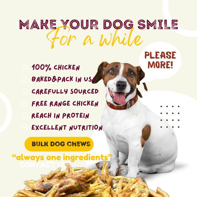 Woofley's Chicken Feet (50 Count)- Chicken Feet Dog Treats - Natural Dog Chews and Treats
