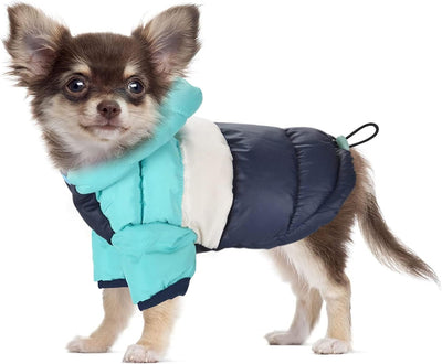 Dog Vest Winter Coat for Small Dogs Boy Girls, Dog Down Jackets Puppy Hoodie Sweatshirt Doggie Hoodie Coat Winter Clothes Pet Hooded Coat Apparel for Chihuahua in Cold Weather,Blue S