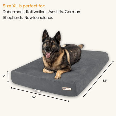 Barker Beds Sleek Extra Large Dog Bed (XL, Charcoal) – 7" Thick Soft & Comfortable Orthopedic Cushion – XL Dog Bed – Durable & Washable Microsuede Cover – Made in USA