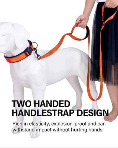 6 Foot Heavy Duty Dog Leash with 2 Comfortable Padded Handles,Traffic Handle & Advanced Easy Snap Hook, Reflective Walking Lead for Small,Medium,Large Breed Dogs,Orange