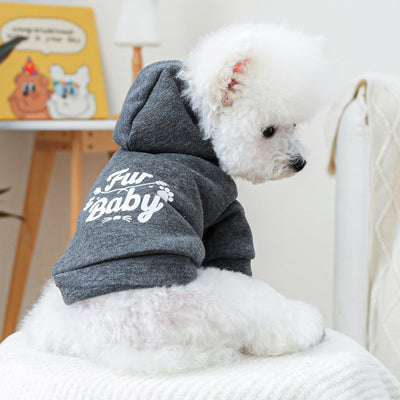 ANIAC Happy Dog Hoodies Fall Puppy Clothes for Small Dog Girl Boy Hooded Dog Sweatshirt Winter Cat Clothes Warm Pet Sweater Cold Weather Coat for Kitten Chihuahua Yorkie (Grey, Small)