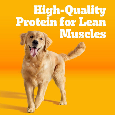 Pedigree High Protein Adult Dry Dog Food, Beef and Lamb Flavor, 18 lb. Bag
