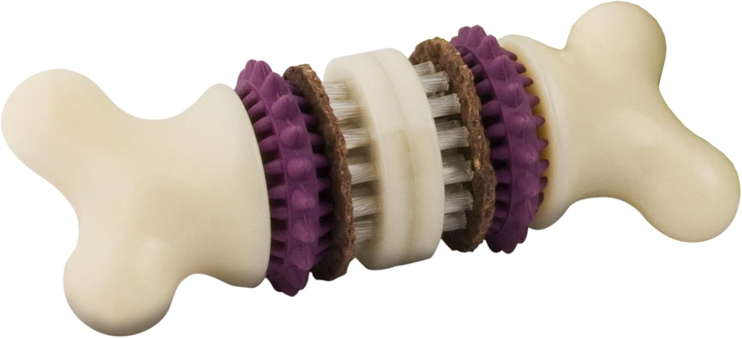 PetSafe® Busy Buddy® Bristle Bone®, Medium, Helps Keep Your Dog's Teeth Clean, Long-Lasting Playtime