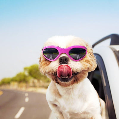 Gafas de sol para perros medianos y grandes, con protección UV, plegables, para mascotas, ajustables, impermeables (rosa)