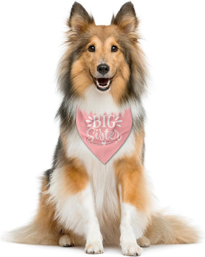 Big Sister Dog Bandana, Dog Bandana, Pink Pet Dog Scarf Accessories, Pet Dog Triangle Scarf, Dog Bandana for Small Medium Dogs, Baby Announcement Dog Bandana, Dog Bandana Pet Scarf (M)