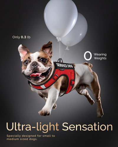 FAYOGOO Service Dog Vest for Small Dogs - Air Mesh Breathble Emotional Support Animal Vest with DIY Patches - Puppy Harness and Leash Set Adjustable Neck and Chest