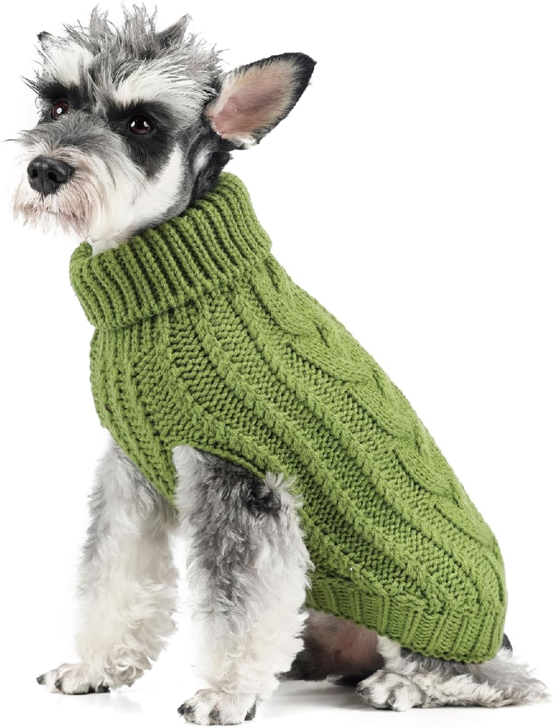 FOFOS Dog Sweater for Small Dogs Warm Winter Puppy Sweater Soft Pullover Dog Clothes for Cold Weather (Green, S)