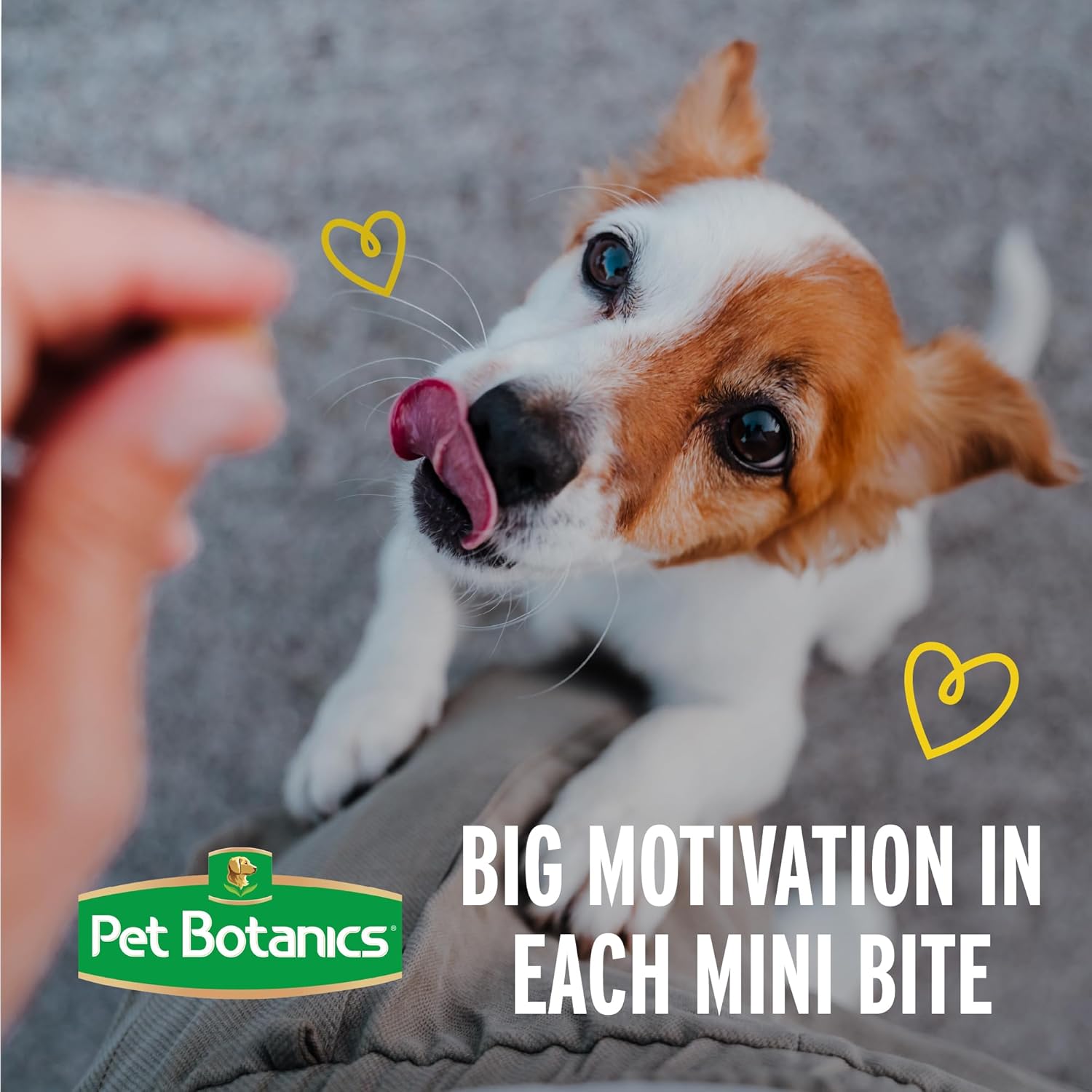Pet Botanics 10 oz. Pouch Training Rewards Mini Soft & Chewy, Bacon Flavor, with 500 Treats Per Bag, The Choice of Top Trainers