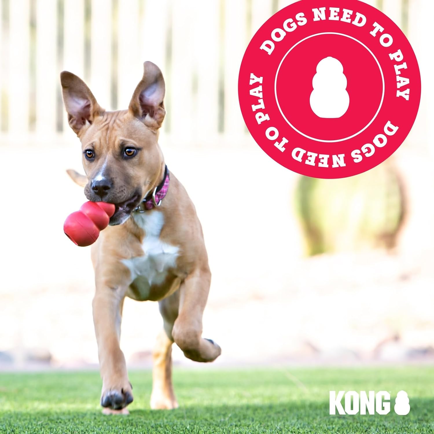 KONG Ring - Natural Rubber Ring Toy for Healthy Chewing Habits - Chew Toy Supports Dog Dental Health - Dog Toy Supports Instincts During Playtime - for Small/Medium Dogs