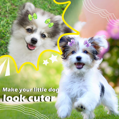 60PCS Pet Hair Bows, Puppy Dog Bows with Rubber Bands, 20pcs with Drills and 40 pcs Pure Yarn Handmade Pet Hair Grooming Attachments with Rubber Bands (Rubber Bands)