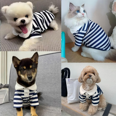 MANON ROSA Cute Dog Clothes Boy Dog Polo Shirt for Small Medium Dogs - Summer Male Puppy T Shirts for Yorkie Poodle Shih Tzu Dachshund Kittens, Striped Collared Pet Doggie Designer Outfits Blue S