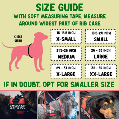 Service Dog Vest + ID Tag + 50 ADA Information Cards - Service Dog Harness w Patch in Sizes X Small to XX Large, Metal Dog Tag has Durable Clip, Service Animal Information Cards. ESA Accessory Set