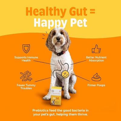 JoyFull Chicken Squeeze Treats for Dogs – Prebiotic Gut Health Snacks Made with Real Cage-Free Chicken – Lickable, Enrichment-Friendly, Meal Topper – 24 Easy Squeeze Paste Treats (0.5oz Each)